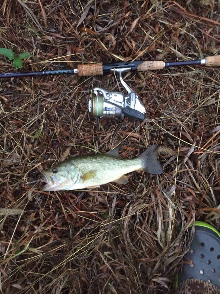 埼玉県の オススメ バス釣りポイント3選 Black Bass Fishing Blog