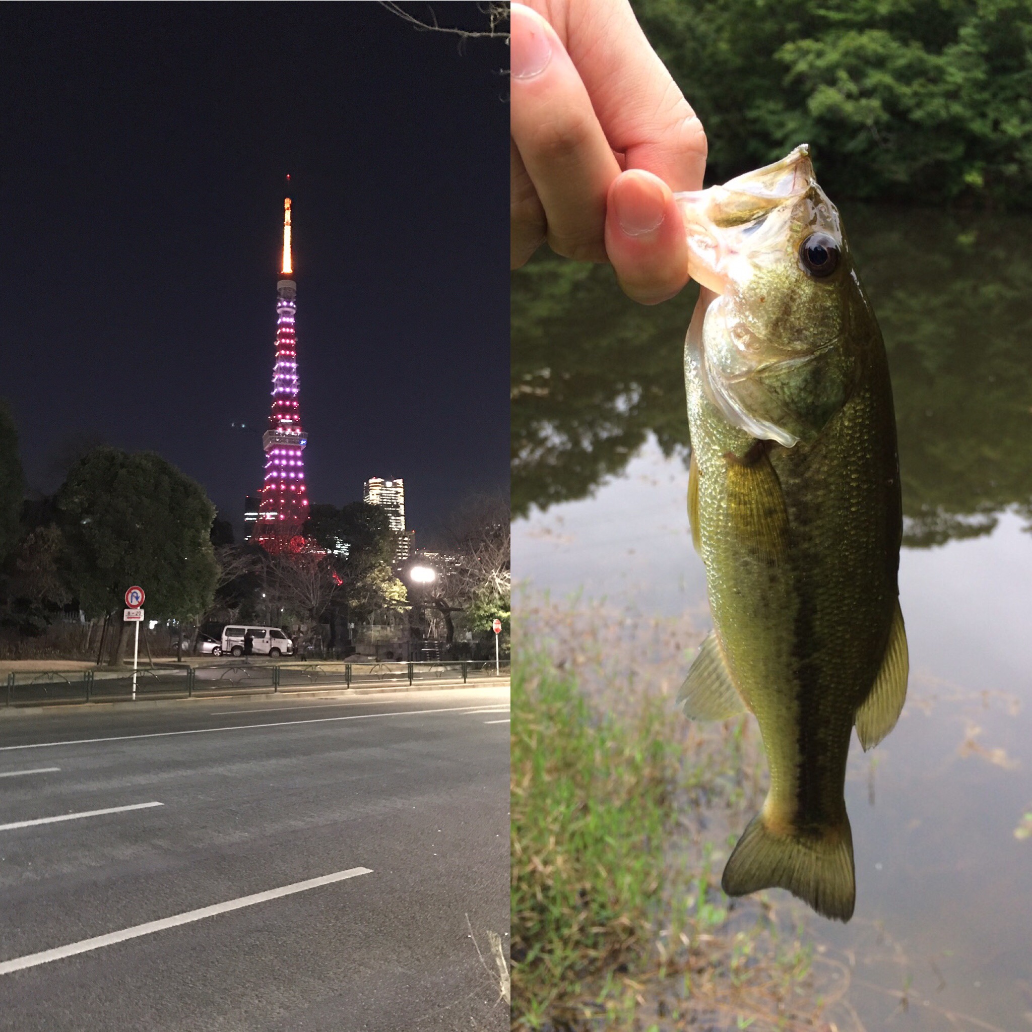 東京都の オススメ バス釣りポイント3選 Black Bass Fishing Blog